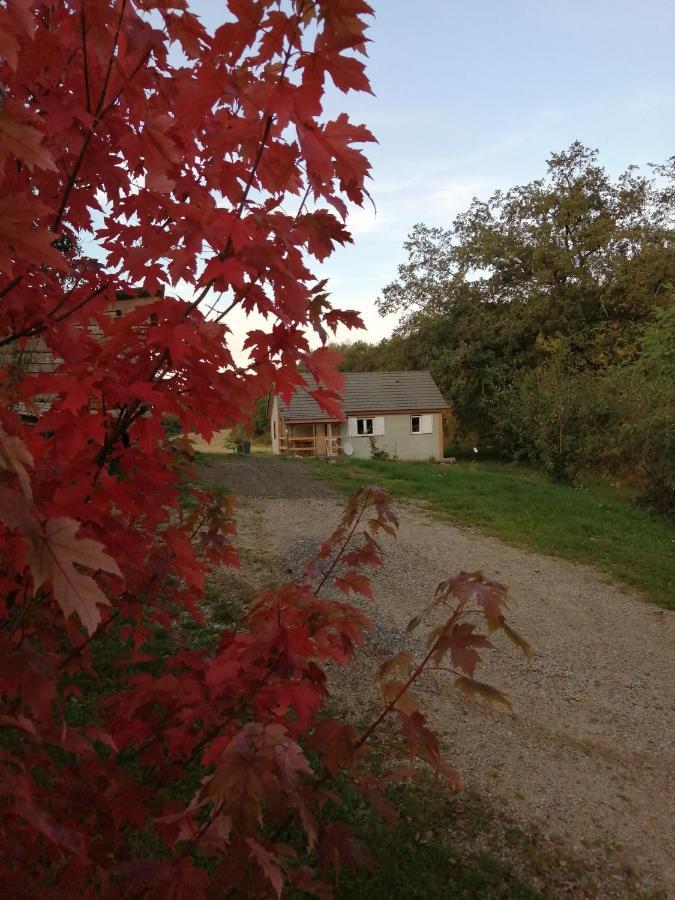 Le Chalet De Lilie Bassignac Exterior foto